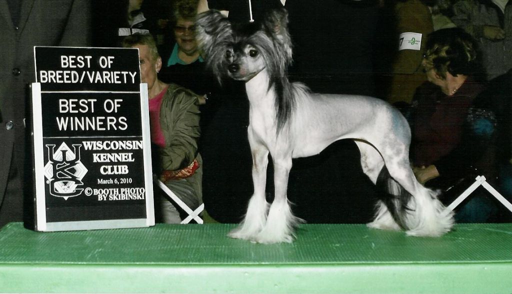 Celestial Dance Like Mata Hari