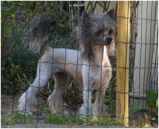 Inya Dreams Did I Catch U Staring