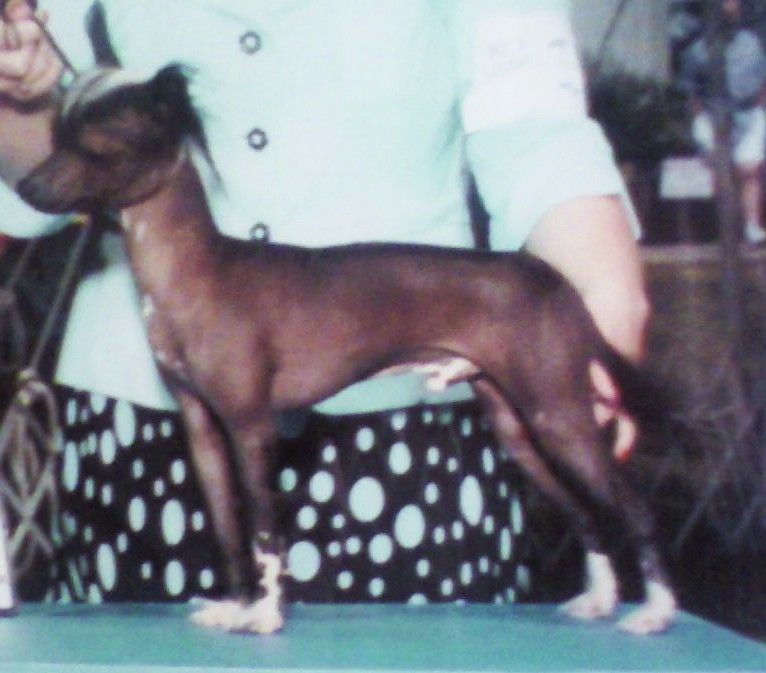 Valerian Vested Interest