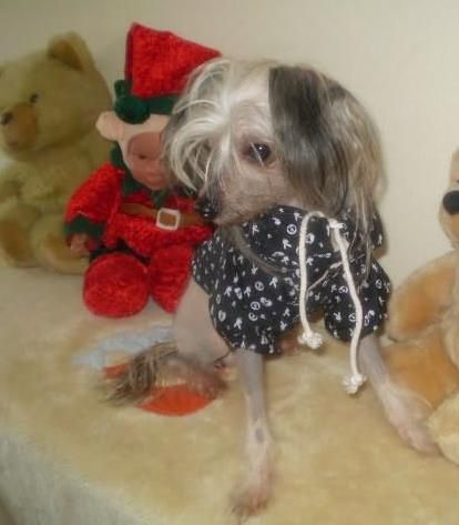 Graf Slodkie Marzenie