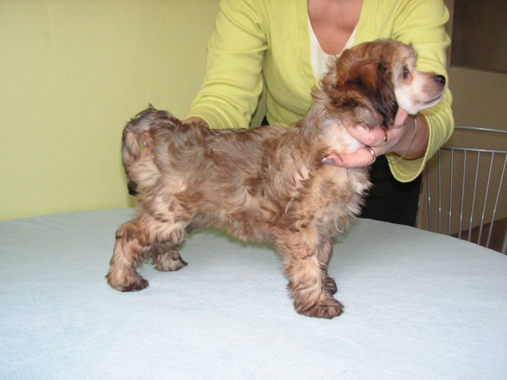 Ashley Rose  Od Senove