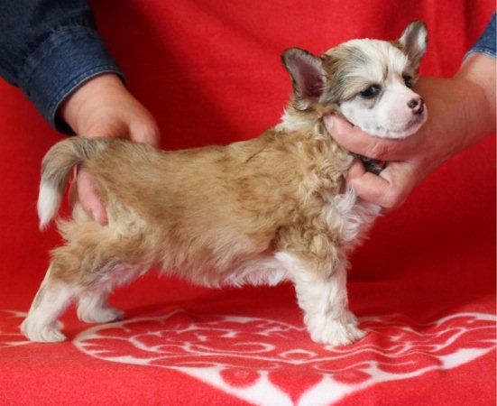 Passer-By Happy-Girl