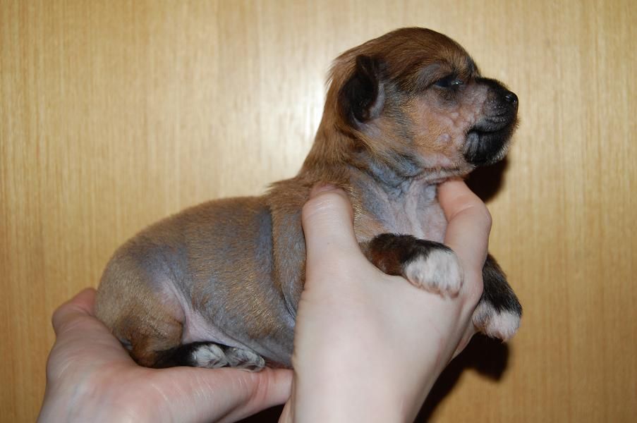 Pinky Twinky Hips'A Holic