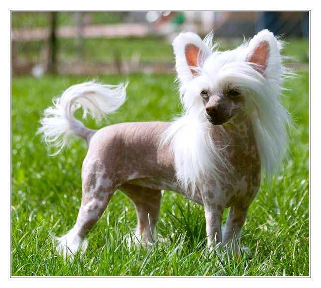 Equiss It's all about me