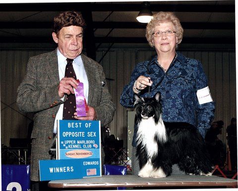 MTO N' Wickhaven All That Heaven Allows