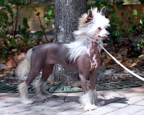 Risin' Star  You R My Sunshine