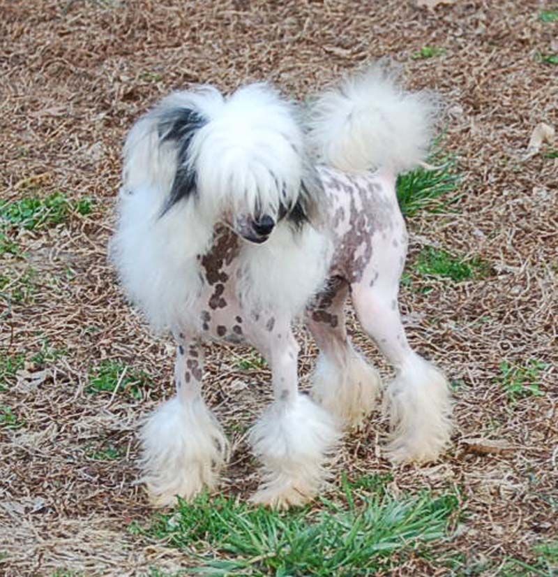 Silver Bluff Nina Ricci