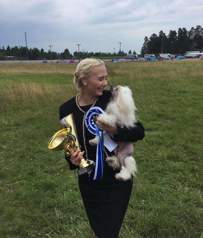 Tapi-Tapi Emotional Chinchilla