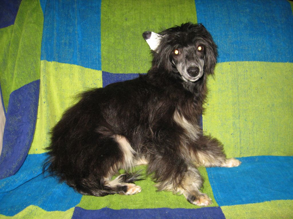 Ozark Cavern's The Girl Next Door