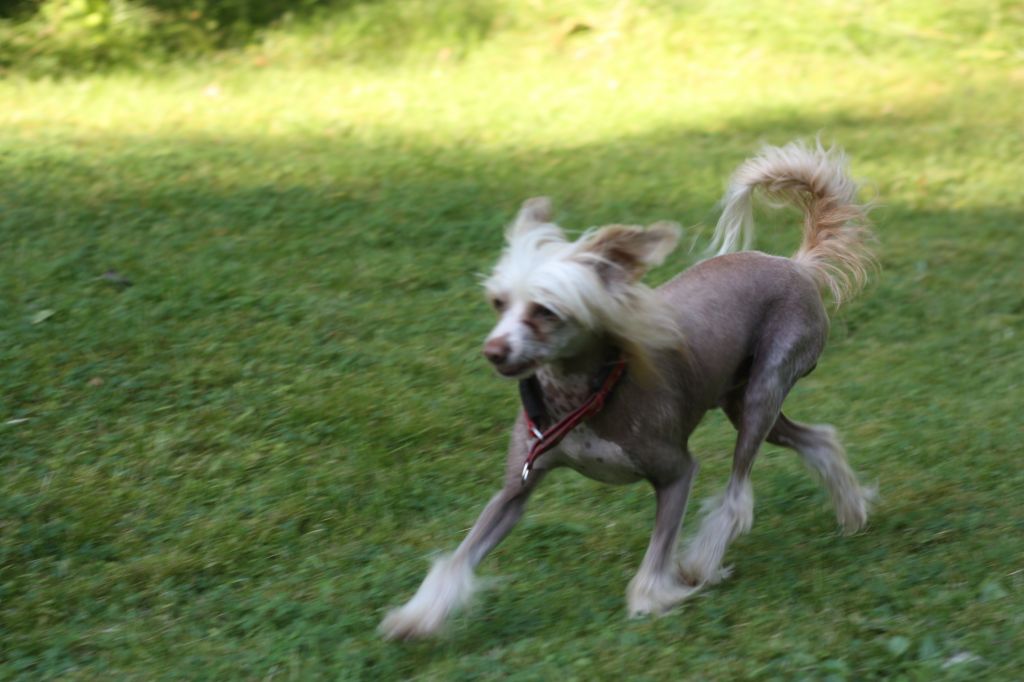 Flossan's Excellent Mirror