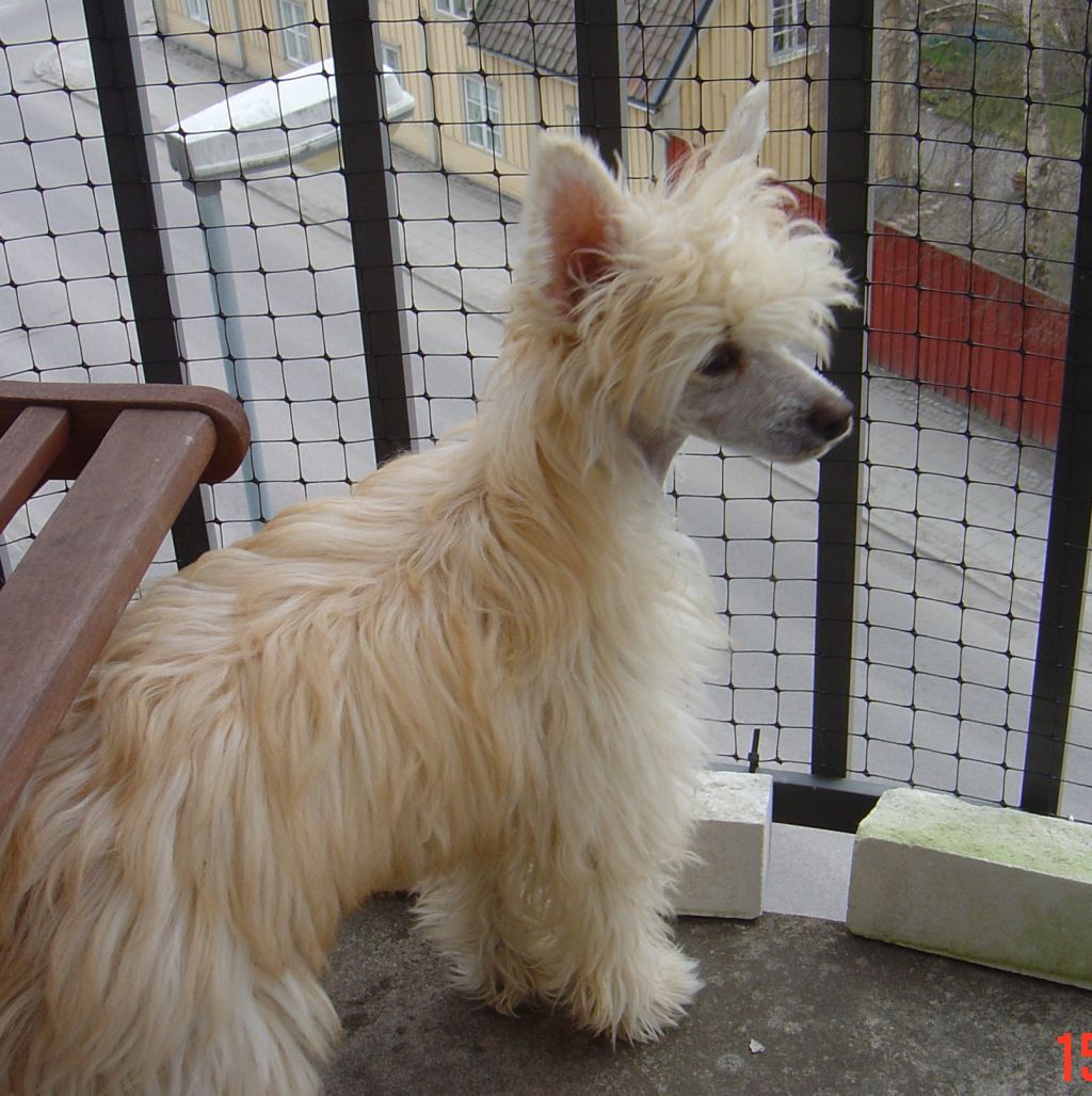 Lohamras Just like a Teddy Bear