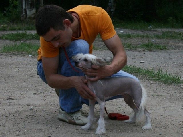 Ksolo Club Urmas Joy