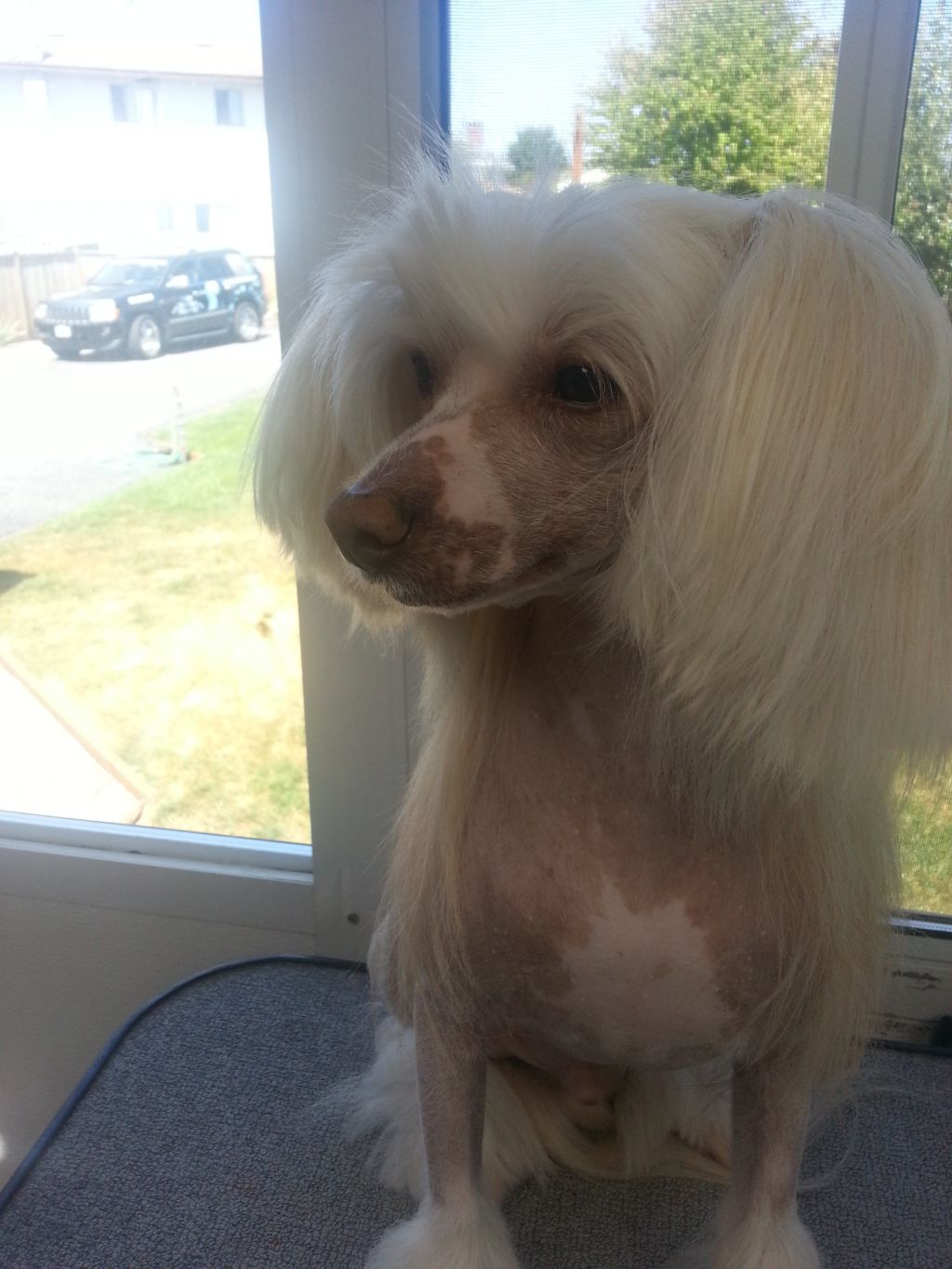 Crest-Vue It Just Comes Natural