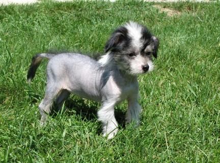 Leanonme's Defenatly Maby