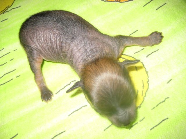 Namib Armonia di Colori