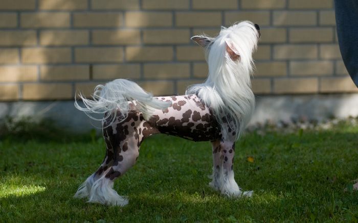 Valanyan Control Freak