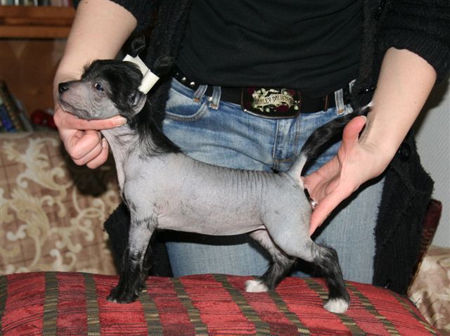 Joyway's All You Need Is Love