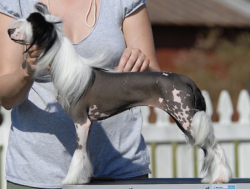 Reba McEntire By Jove