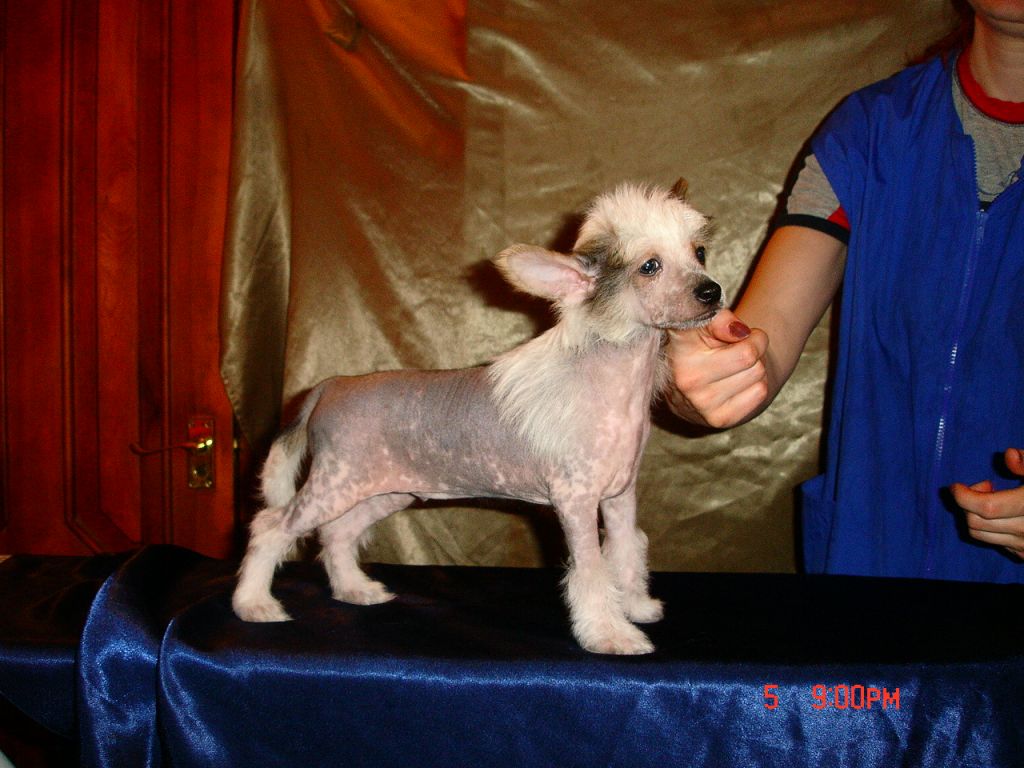 Rouber Balt Luxemburg