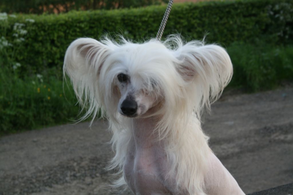 Habiba I Shaved My Legs For U