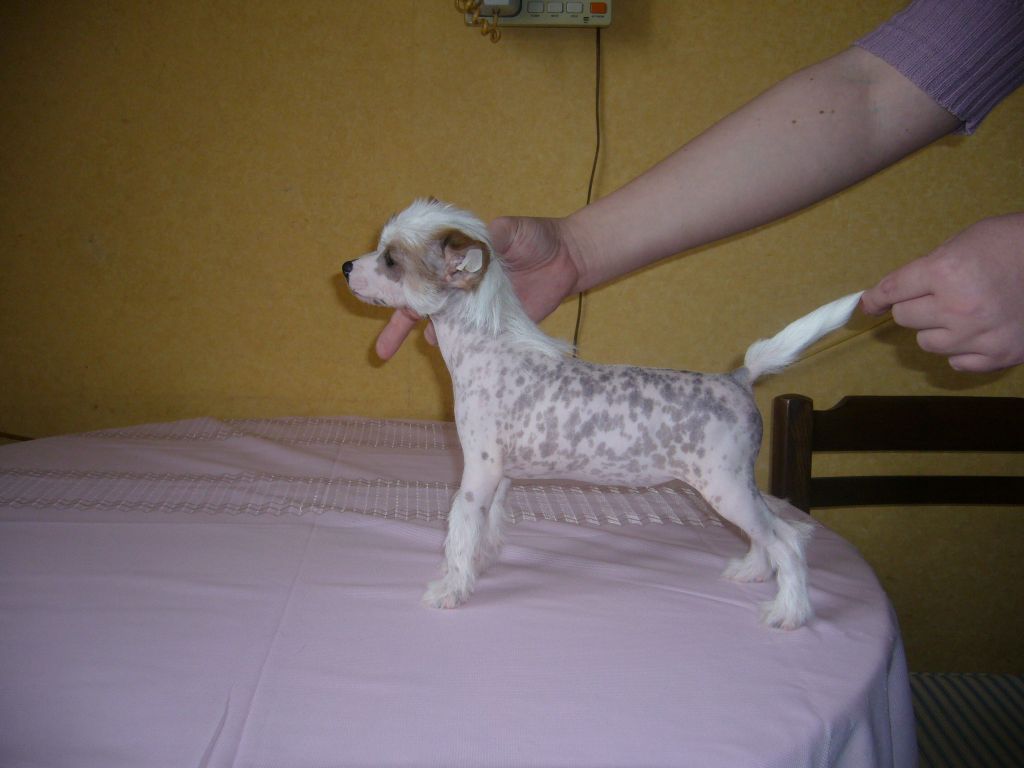 Yalla to Win a Victory