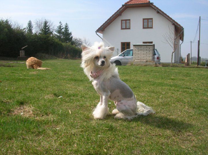 Bery Lea z Mlynskeho dvora