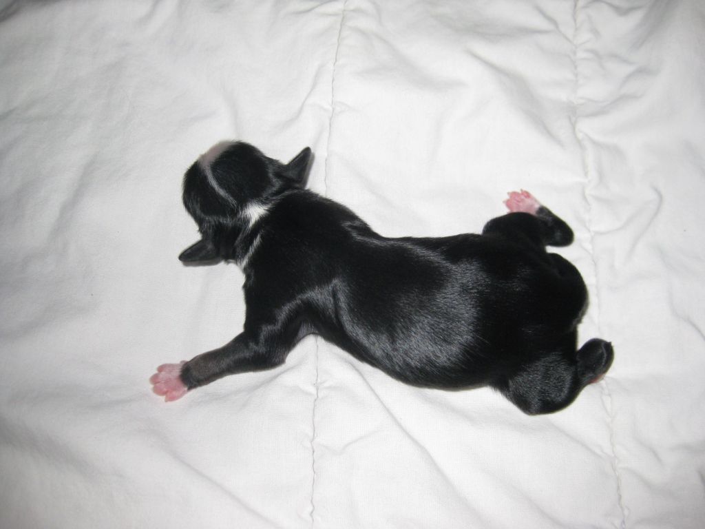 Magic'N Mystic Just Kiss Me