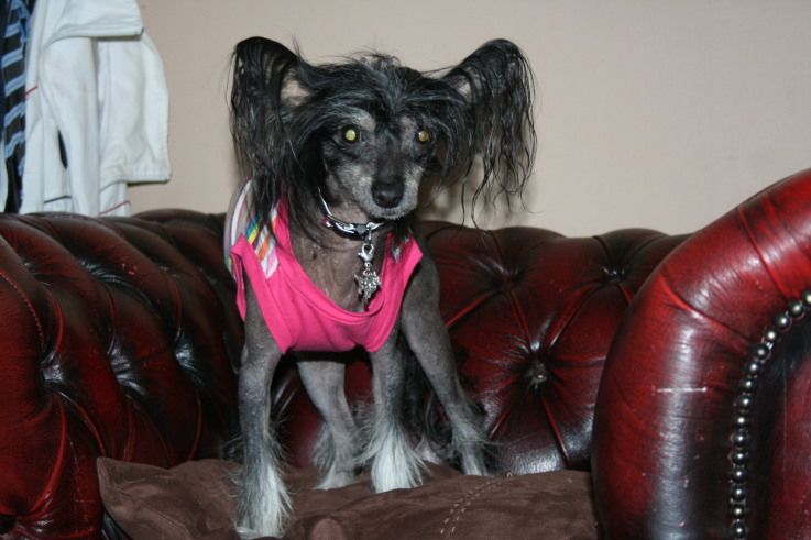 Xanton Bella Nero Di Serino