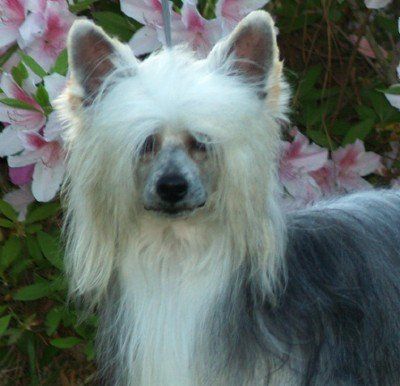 Equiss You Can't Fix Stupid 