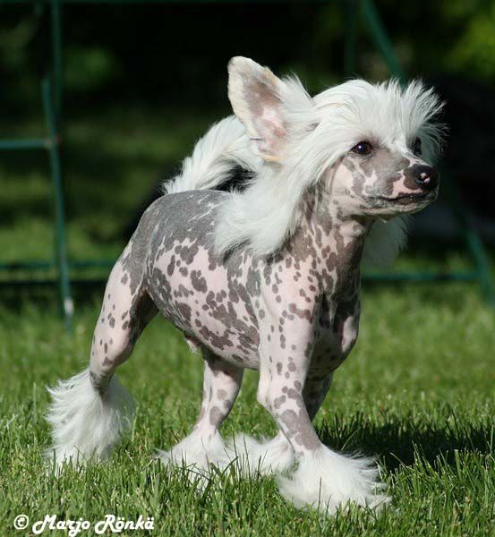 Chinetta's Class Fashion Billabong