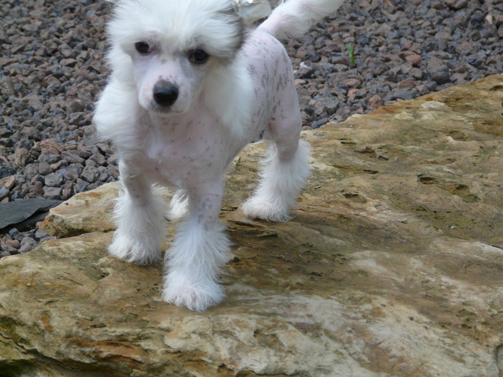 Now It's Time to Rock the Boat