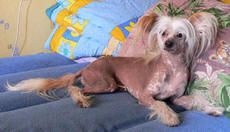 Midnight Music Aikito