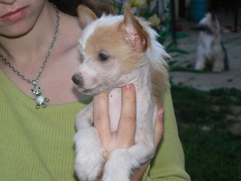 Alabaster Queen Malverne