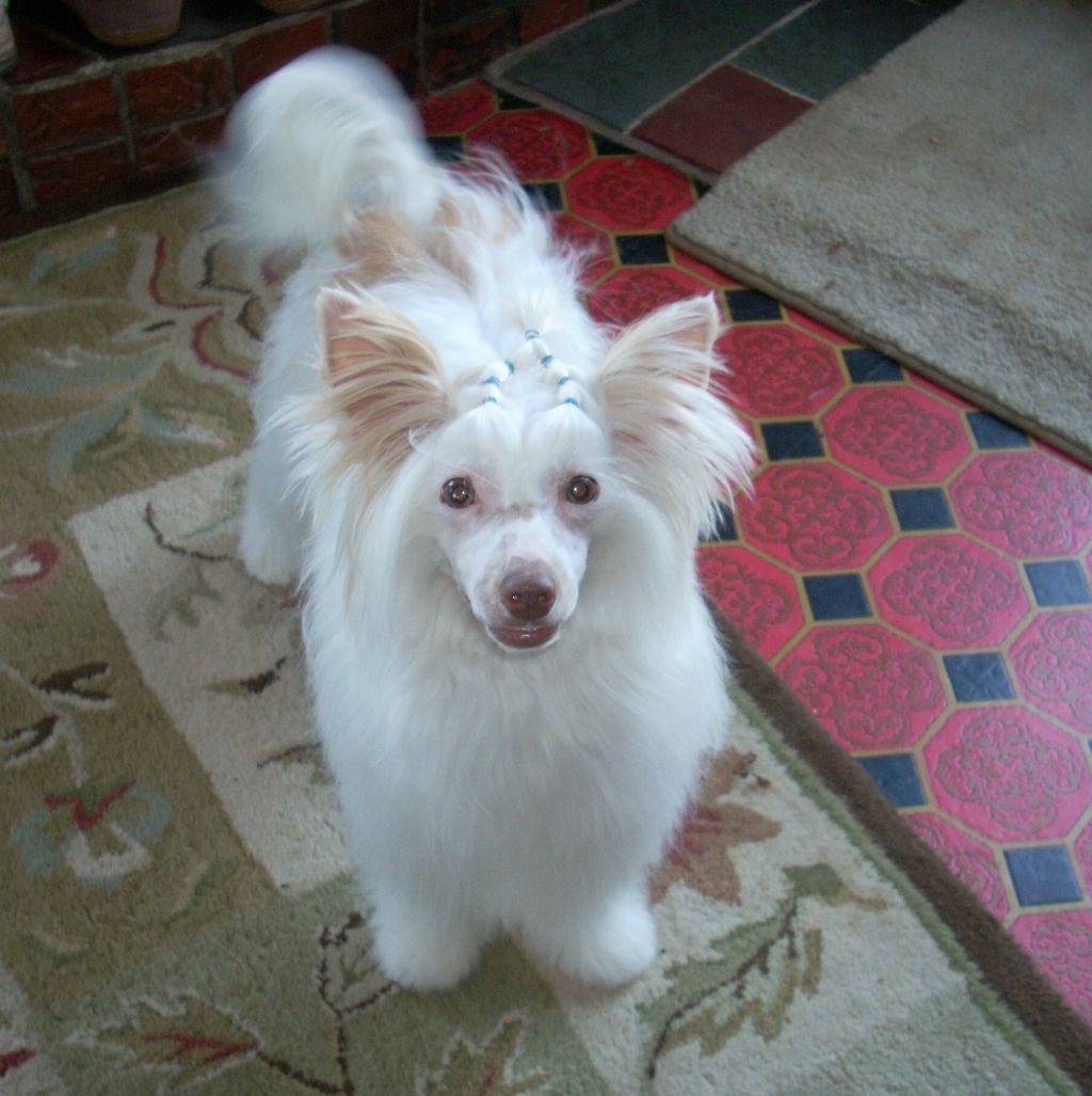 Cristalls Private Emotion