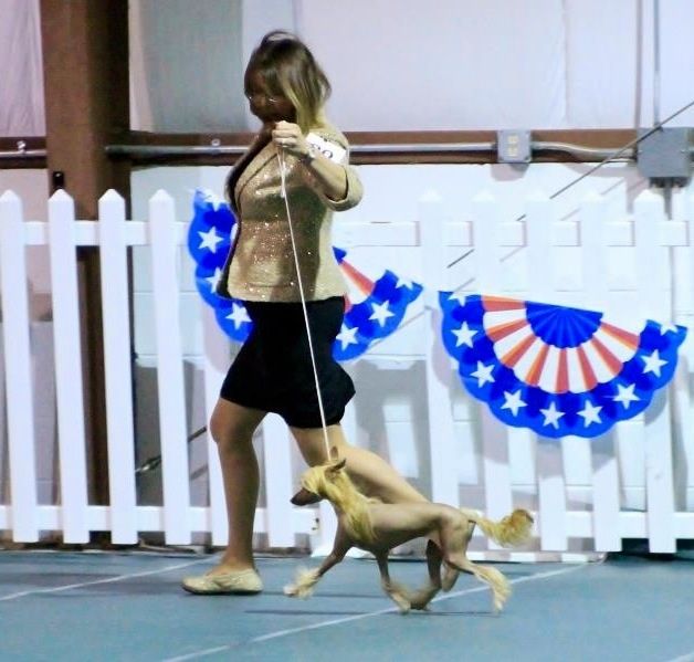 Cristalls One Hot Tamale