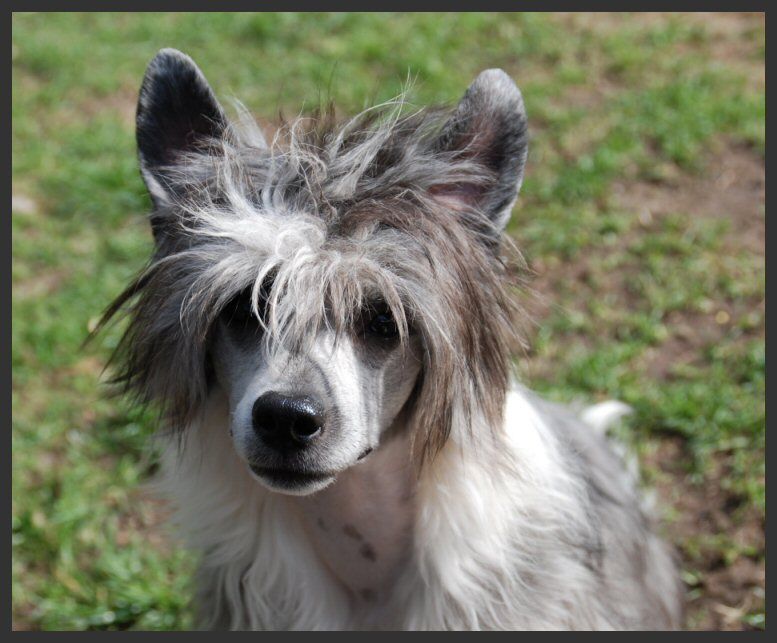 Follow Your Heart of Roxy's Pride