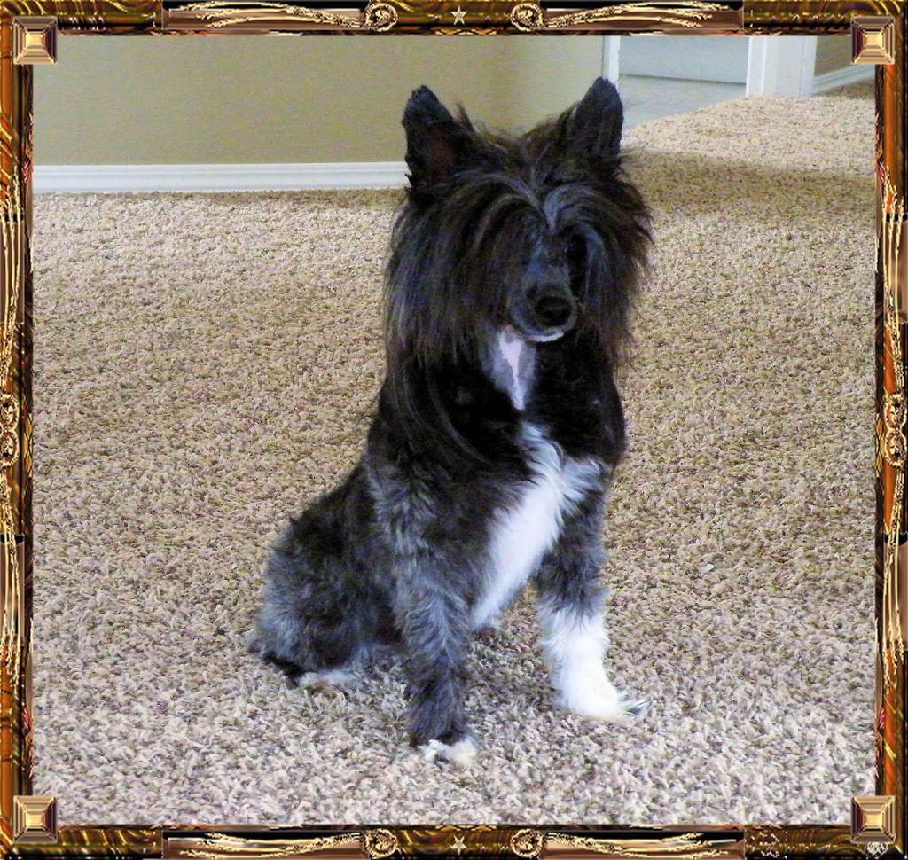 Outlaw's Ride It Like U Stole It