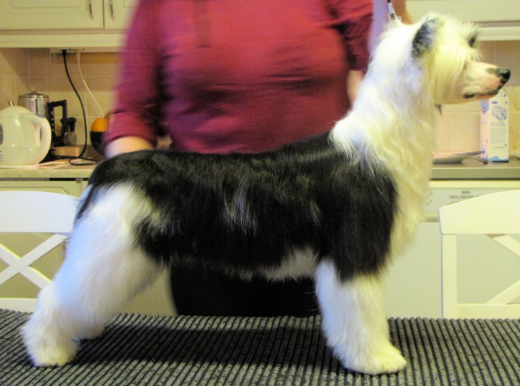 Kiikunkaakun Mittatilaustyö