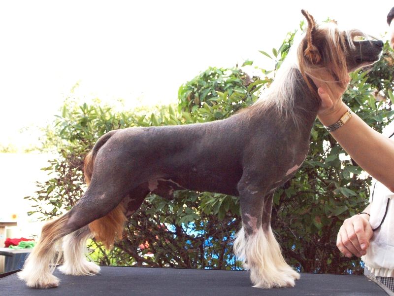 Zholesk Nice To See You