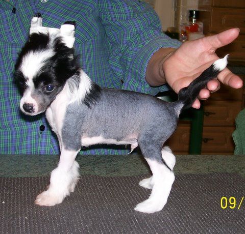 Lemiz He's a Miracle  