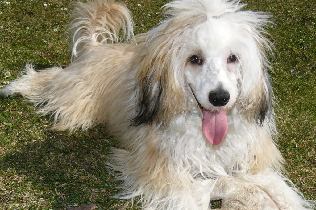 Cleo County  Z Jaromerskeho panstvi