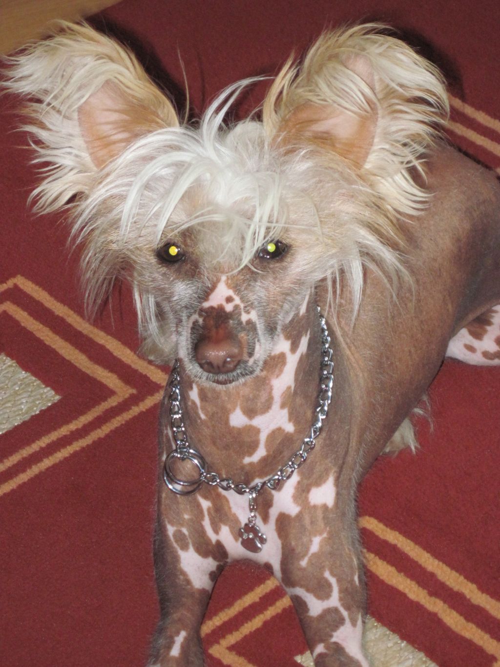 Treasure Guardians  Don Juan