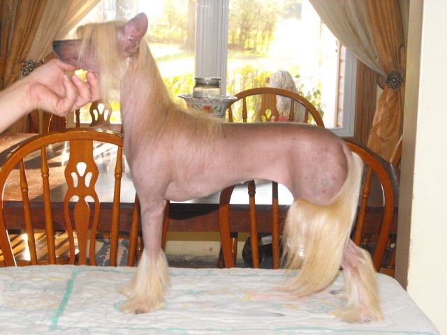 Bidwin's Gone Like The Wind