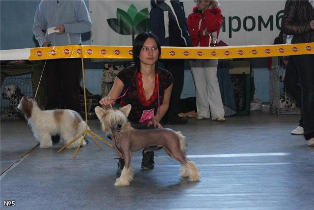 Yan Di Bog Solnca s Gostinogo Dvora