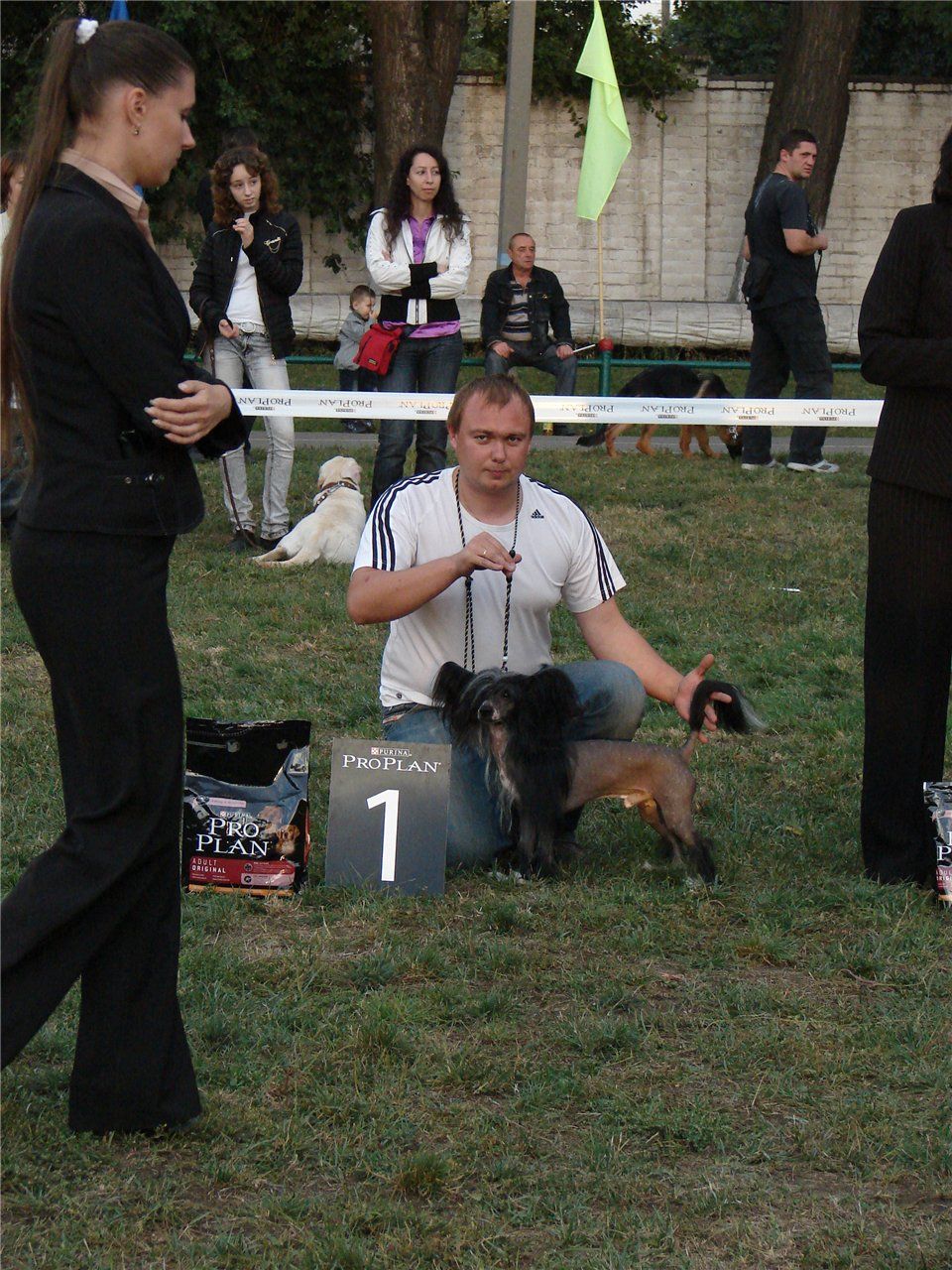 Martin Sharm Zingall Roz