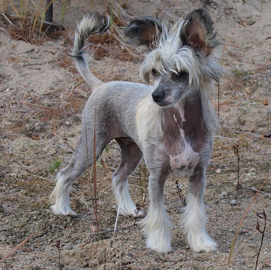 Crestwood Quite A Catch