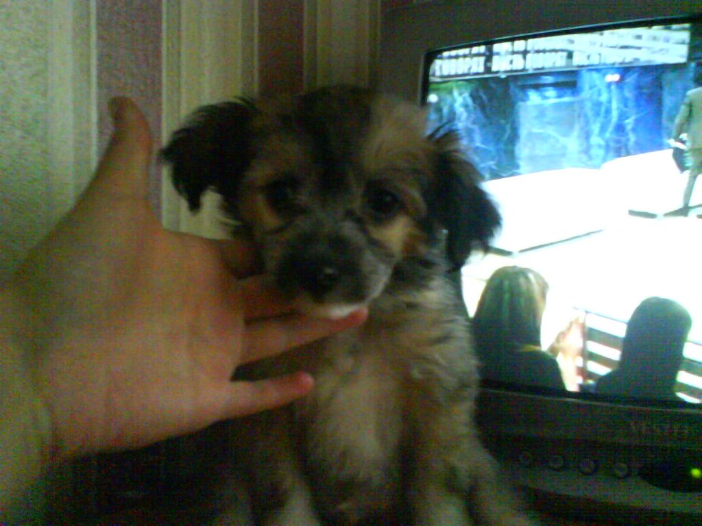 Kristal Yaniry Eralash