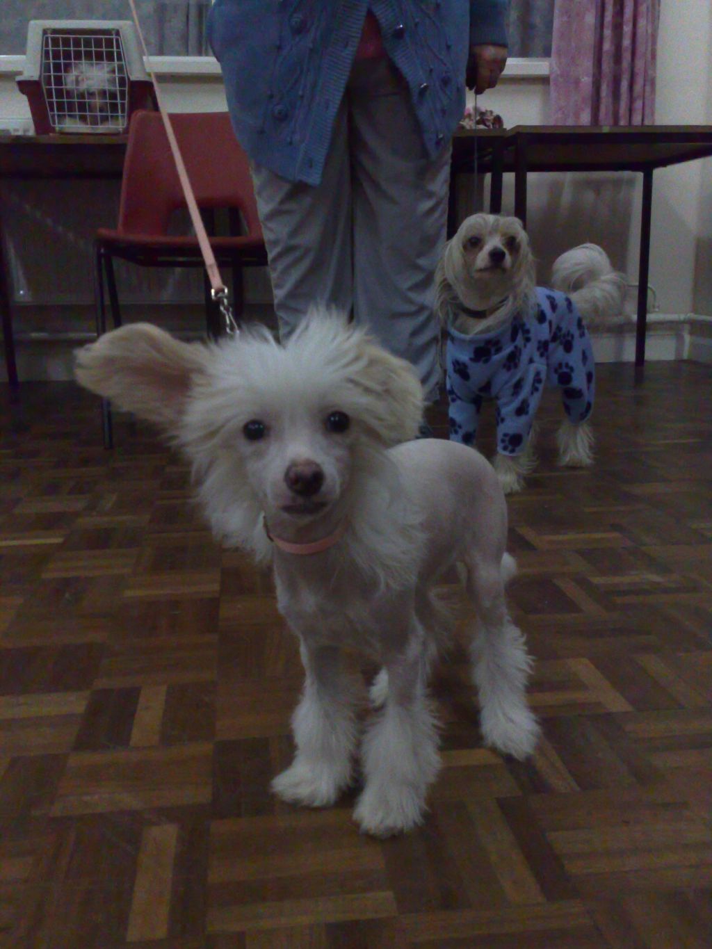 Yorcrechi's Dust Storm