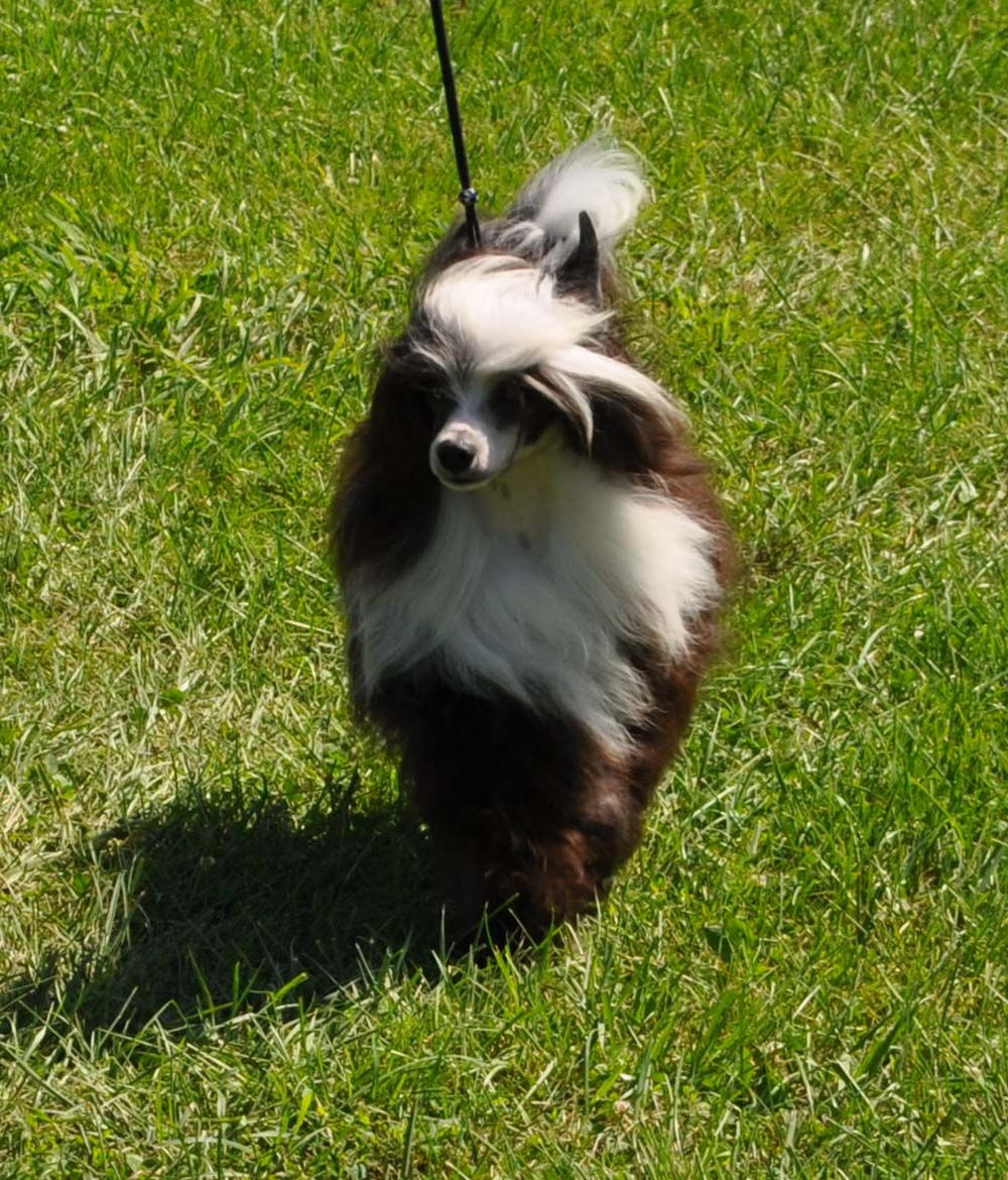 Silver Bluff Blass From The Past