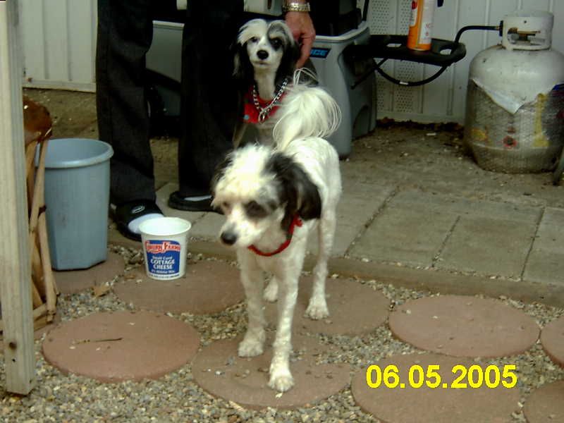 China's Little Phantom Spot